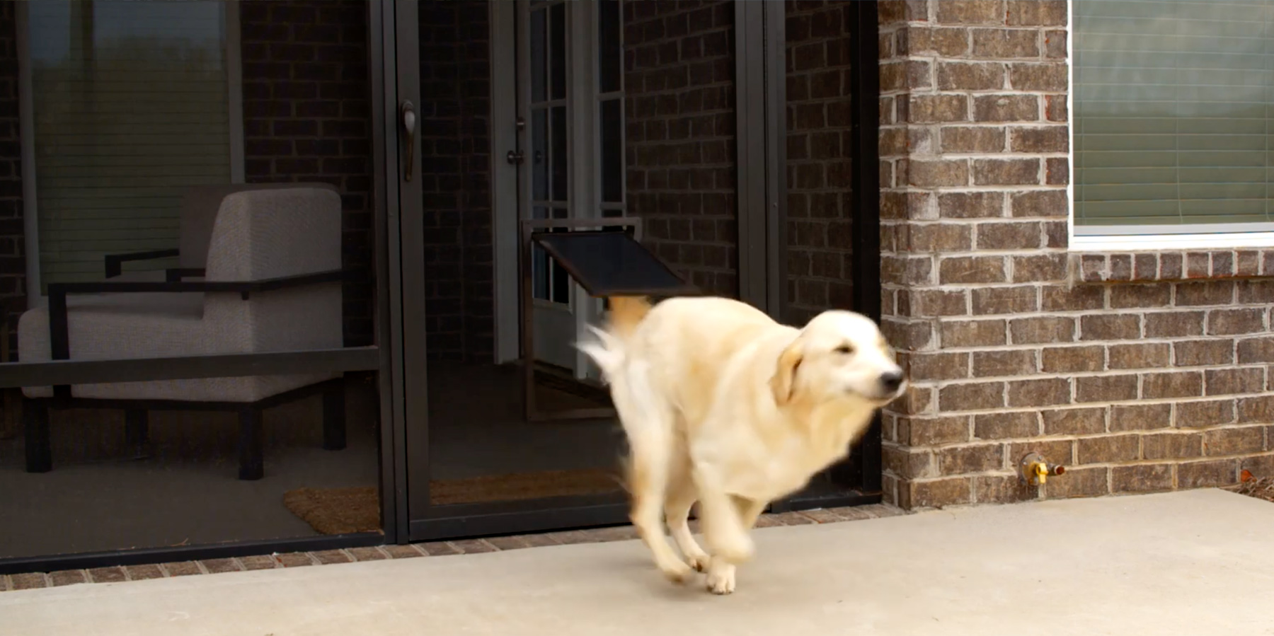 Wizard Victoria Screens, Awnings, Petsafe Screen Doors, Security & More